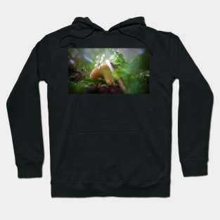 Red Capped Mushroom in the Rain Hoodie